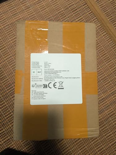 Tvszizx H6 TV Stick / Box – Android 12